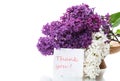 Bouquet of beautiful blooming lilacs in a vase Royalty Free Stock Photo