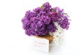 Bouquet of beautiful blooming lilacs in a vase Royalty Free Stock Photo