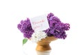 Bouquet of beautiful blooming lilacs in a vase Royalty Free Stock Photo