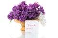 bouquet of beautiful blooming lilacs in a vase Royalty Free Stock Photo