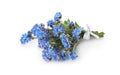 Bouquet of beautiful blue Forget-me-not flowers on white background Royalty Free Stock Photo