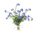 Bouquet of beautiful blue Forget-me-not flowers on white background Royalty Free Stock Photo