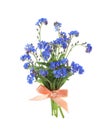 Bouquet of beautiful blue Forget-me-not flowers on white background Royalty Free Stock Photo