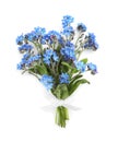 Bouquet of beautiful blue Forget-me-not flowers on white background, top view Royalty Free Stock Photo