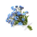Bouquet of beautiful blue Forget-me-not flowers on white background, top view Royalty Free Stock Photo