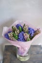 Bouquet of Beautiful blue and lilac hyacinths. Close-up spring flowers in vase. bulbous plant. Floral wallpaper Royalty Free Stock Photo