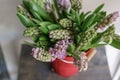 Bouquet of Beautiful lilac hyacinths. Close-up spring flowers in vase. bulbous plant. Floral wallpaper Royalty Free Stock Photo