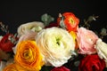 Bouquet with beautiful bright ranunculus flowers on dark background Royalty Free Stock Photo