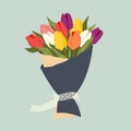 Bouquet of beautiful colorful tulips. Lush bunch of flower buds wrapped in paper with white ribbon for present. Floral design for