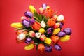 Bouquet of beautiful colorful tulips on red background, top view Royalty Free Stock Photo