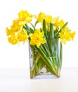 A bouquet of beautiful daffodils