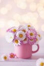 Bouquet of beautiful English daisy flowers in pink cup against sparkle background. Summer still life with little chamomile.