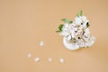 A bouquet of beautiful flowers of an apple tree and fallen petals out of focus on a beige table, top view. Place for text Royalty Free Stock Photo