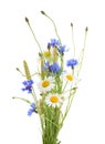 Bouquet of beautiful flowers Cornflowers, chamomiles wheat iso Royalty Free Stock Photo