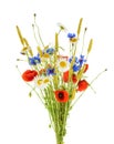 Bouquet of beautiful flowers Cornflowers, chamomiles wheat and