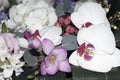 Buquet of beauniful flowers for the holiday white orchids