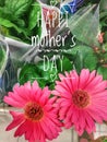 Bouquet of beautiful flowers for mother`s day