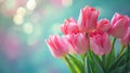 Bouquet of beautiful flowers. Pink tulips on blurred background with copy space for greeting message Royalty Free Stock Photo