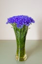 Bouquet of beautiful flowers scientific name CentaurÃÂ©a cyÃÂ¡nus in a glass vase on the table. Spring and holiday concept.