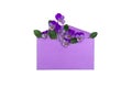 Bouquet of beautiful flowers viola tricolor  pansy  in violet postal envelope on a white background. Top view, flat lay Royalty Free Stock Photo