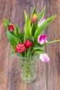 Bouquet of beautiful fresh tulips in crystal vintage vase Royalty Free Stock Photo