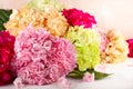 Bouquet of beautiful hydrangea