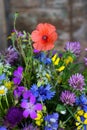 Bouquet of beautiful meadow flowers and poppy on dark wooden background indoors in natural light Royalty Free Stock Photo