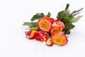 A bouquet of beautiful orange-red roses on the snow Royalty Free Stock Photo