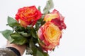 A bouquet of beautiful orange-red roses in your hand Royalty Free Stock Photo