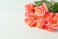 Bouquet of beautiful orange roses on white background Royalty Free Stock Photo