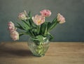 Pink Tulips Royalty Free Stock Photo