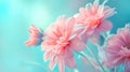 Bouquet of beautiful pink flowers, soft pastel color flower background