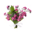 Bouquet of beautiful pink Forget-me-not flowers isolated on white