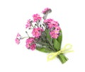Bouquet of beautiful pink Forget-me-not flowers on white background, top view Royalty Free Stock Photo