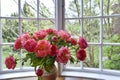 Bouquet of beautiful pink peonies near a large window. Royalty Free Stock Photo