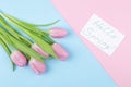 A bouquet of beautiful pink tulip flowers on a trendy pink and blue multicolored background. Spring. holidays. text hello spring, Royalty Free Stock Photo