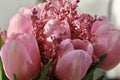 Bouquet of beautiful pink tulips in early spring as a postcard or picture with nice flowers Royalty Free Stock Photo