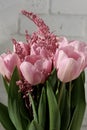 Bouquet of beautiful pink tulips in early spring as a postcard or picture with nice flowers Royalty Free Stock Photo