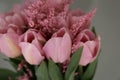 Bouquet of beautiful pink tulips in early spring as a postcard or picture with nice flowers Royalty Free Stock Photo