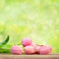 Bouquet of Beautiful Pink Tulips on green background