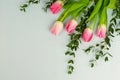 A bouquet of beautiful pink tulips and green twigs of eucalyptus from above on