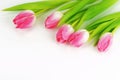 Bouquet of a beautiful pink tulips on a white background