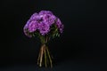 Bouquet of beautiful purple asters on black background, space for text. Autumn flowers Royalty Free Stock Photo