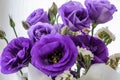 Bouquet of beautiful purple flowers
