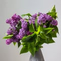 Beautiful lilac detail bouquete with green leaves