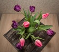 A bouquet of beautiful purple and pink tulips stand in a glass vase on a wooden table Royalty Free Stock Photo
