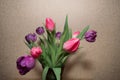 A bouquet of beautiful purple and pink tulips stand in a glass vase on a wooden table Royalty Free Stock Photo