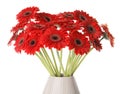 Bouquet of beautiful red gerbera flowers in ceramic jug on white background Royalty Free Stock Photo