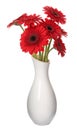 Bouquet of beautiful red gerbera flowers in ceramic vase on white background Royalty Free Stock Photo