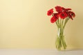 Bouquet of beautiful red gerbera flowers glass in vase on white table near beige wall. Space for text Royalty Free Stock Photo